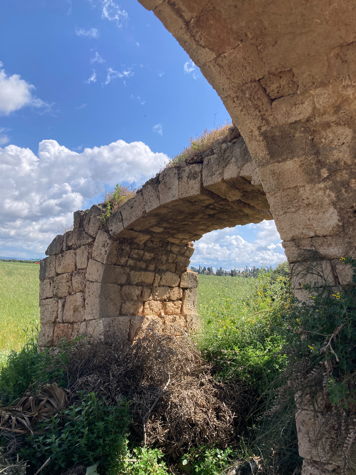 Vaulted Aqueducts, Acre to Caesarea